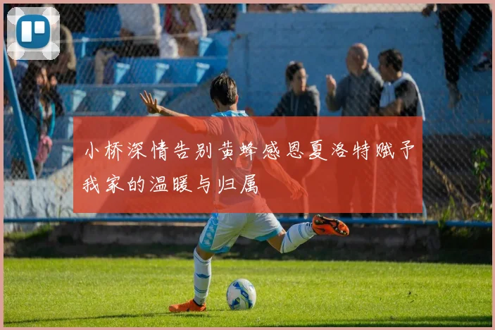 小桥深情告别黄蜂感恩夏洛特赋予我家的温暖与归属