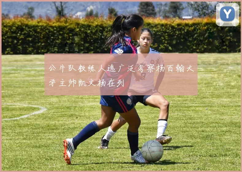 公牛队教练人选广泛考察杨百翰大学主帅凯文杨在列